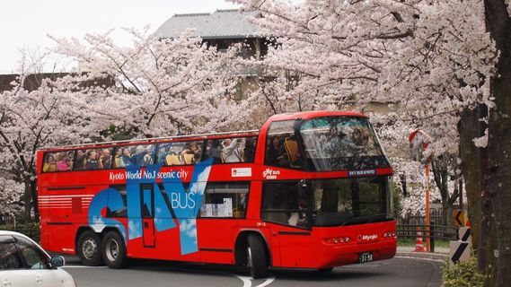 Sky Hop Bus Double Decker outside photo
