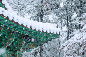 Landscape winter with roof gyeongbokgung falling snow seoul south korea