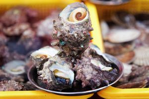 Fresh Turban Shell at Jagalchi Fish Market, Busan, South Korea
