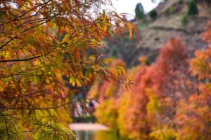 Sanwan Miaoli garden in autumn, Taiwan
