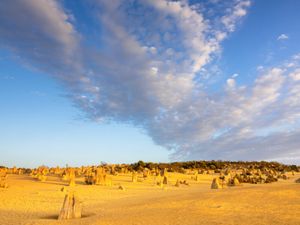 The Pinnacles Desert, Western Australia, Australia.