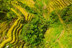 Ifugao province, Philippines