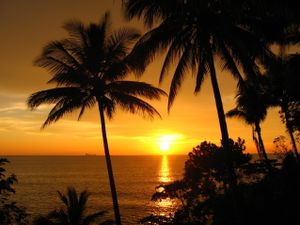 A Very Typical Sunset