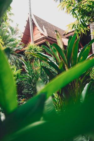 The Jim Thompson House. Credit: Unsplash.